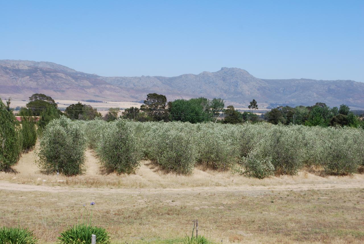 טולבאך Fraaigelegen Farm - Home Of Adhara Evoo מראה חיצוני תמונה