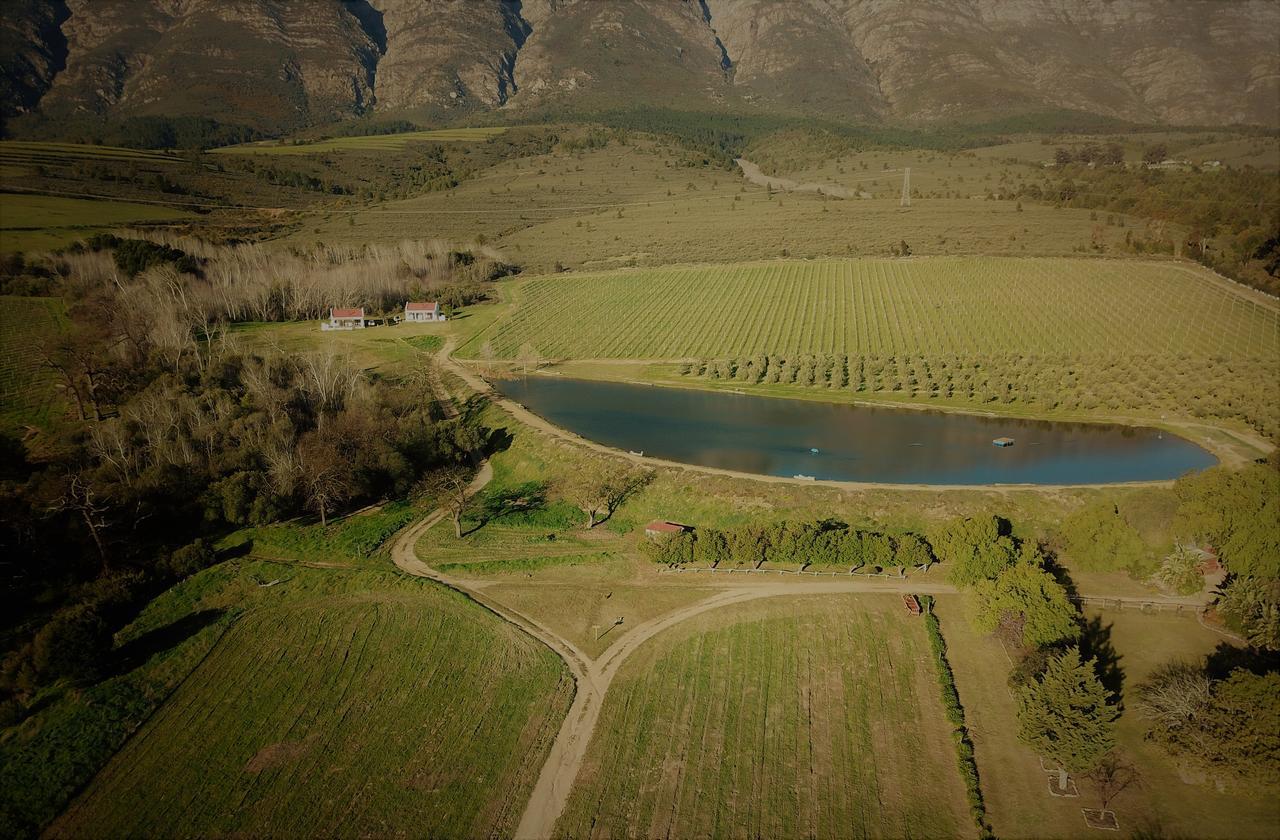 טולבאך Fraaigelegen Farm - Home Of Adhara Evoo מראה חיצוני תמונה