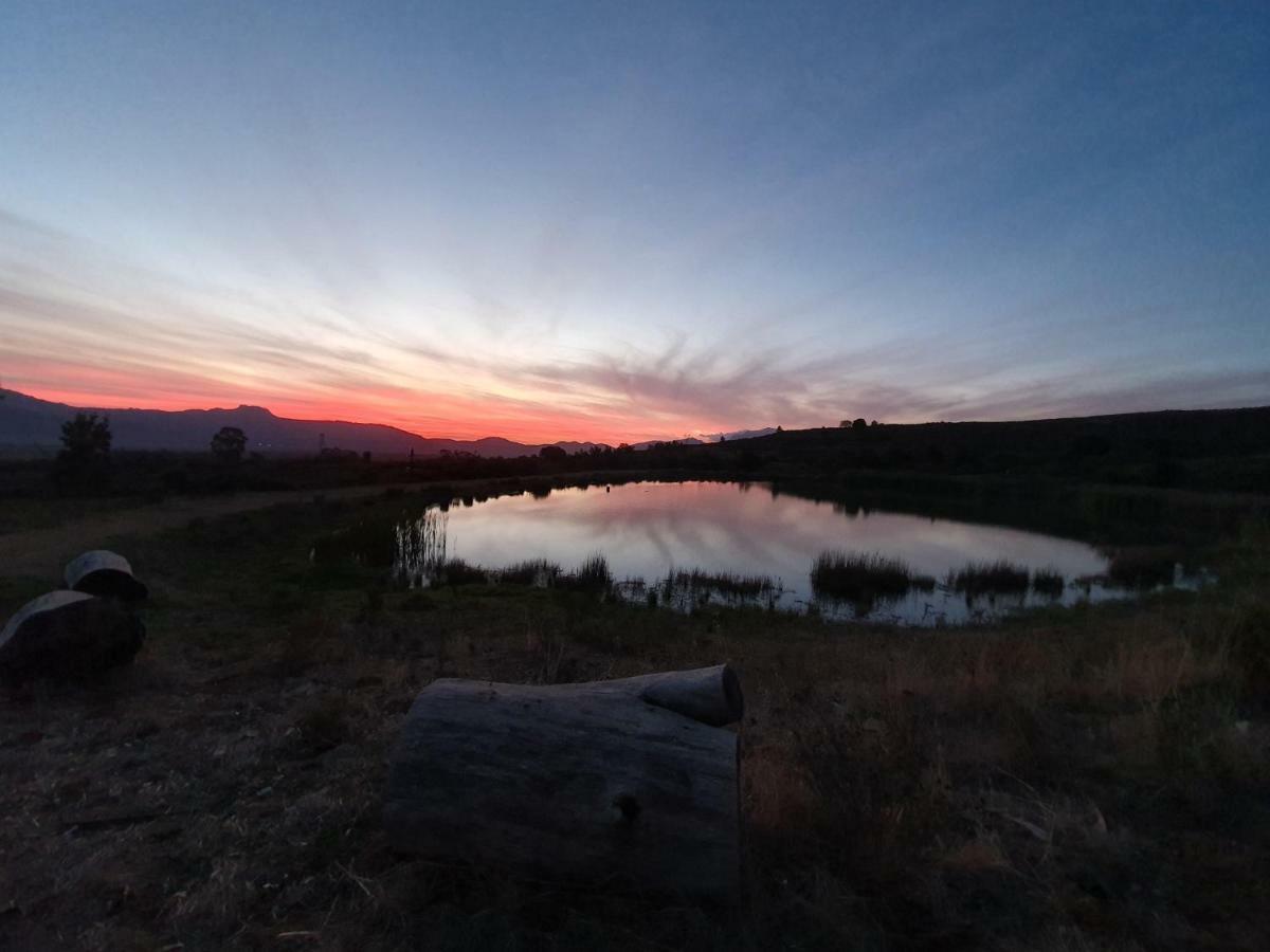 טולבאך Fraaigelegen Farm - Home Of Adhara Evoo מראה חיצוני תמונה